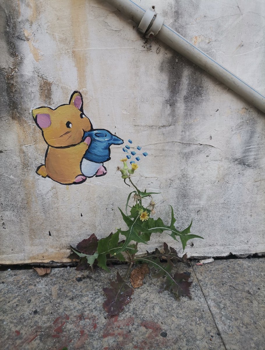 一位好友爱的博主