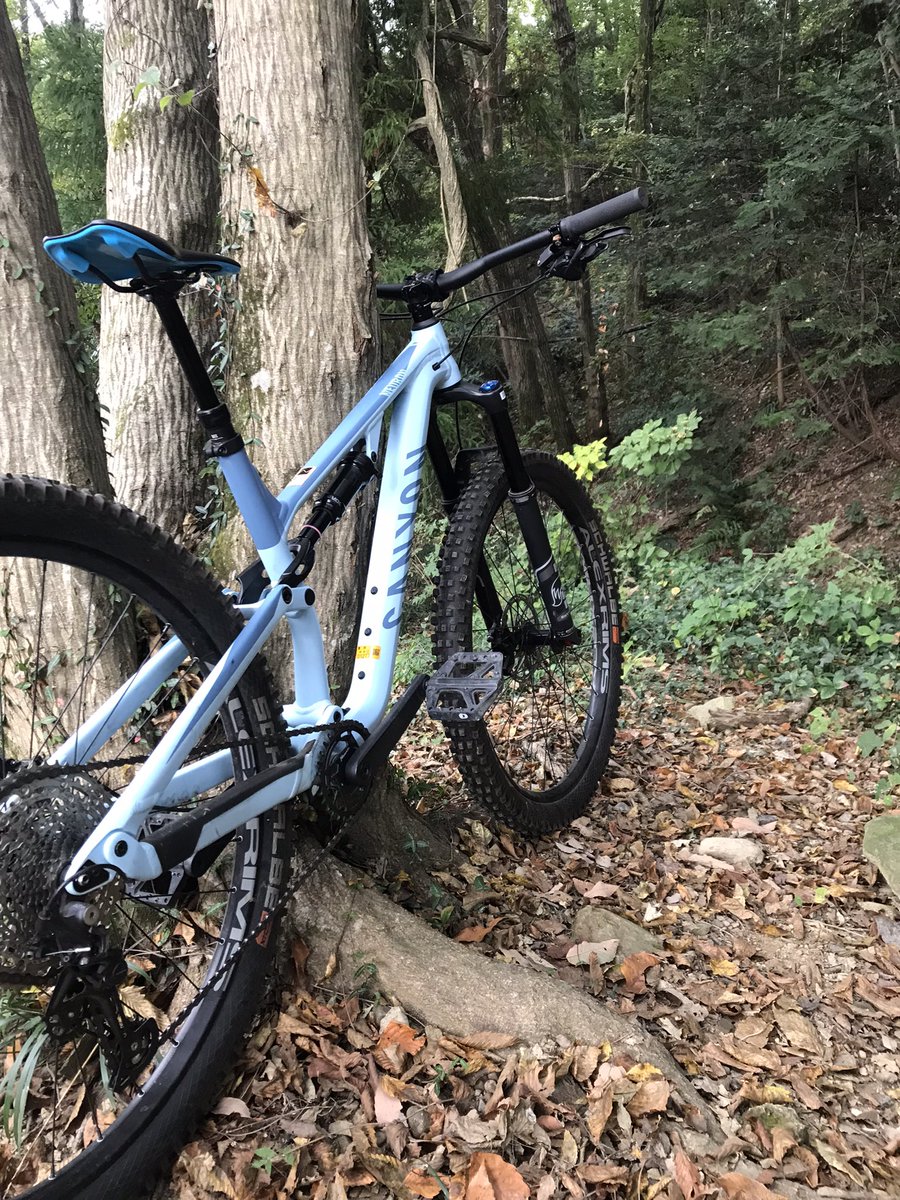 #mountainbike 久しぶりのAの山 今日はcanyonのneuron こっちはこっちで楽しい しかし自然のエネルギーはすごい 木の強かさよ