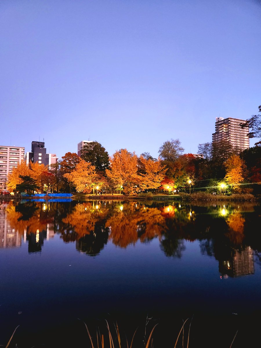 glittercloud12's tweet photo. 夜の中島公園
池に映る紅葉が美しい https://t.co/gqrYUB5l7f