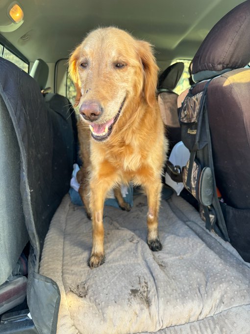 New Blog Post: Abby the Golden: Until the Next Forever.  https://t.co/3rxyY5QpzC https://t.co/RyZHuz<a href="/tag/realloyalfans"class="tags"><span>#realloyalfans</span></a>