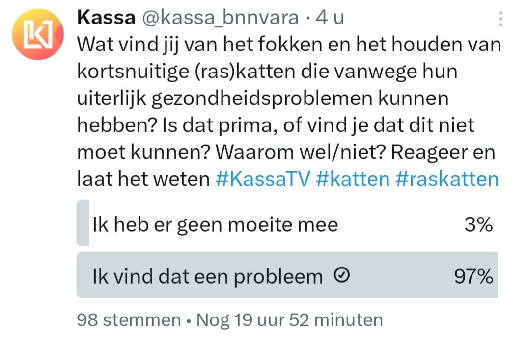 huismuizen's tweet photo. Zo @mundikat is deze uitkomst duidelijk genoeg? Stop dit #dierenleed! @NVWADierwelzijn kom in actie! π
#katten #kassa #raskatten https://t.co/Dss8dMRL5D