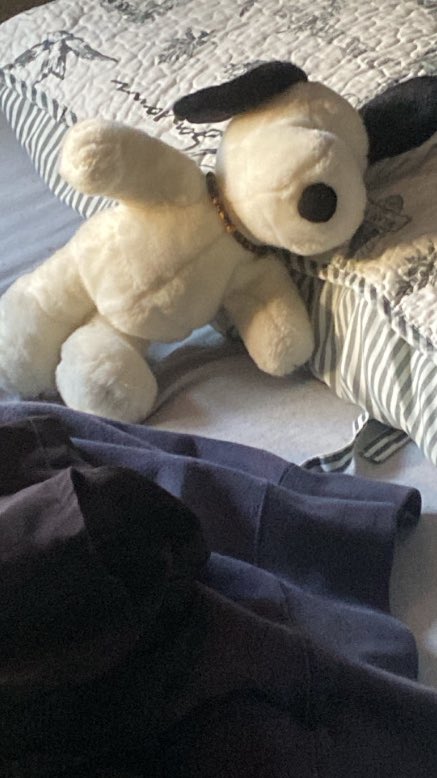 Snoopy se levantó bien crudote
