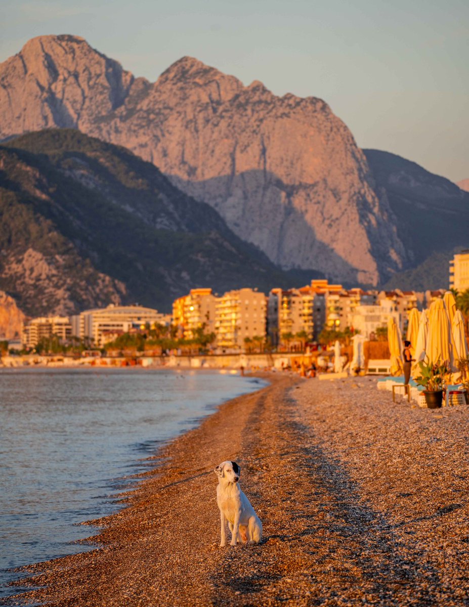 jordanav_'s tweet photo. An unexpected model 

#SonyAlpha 
#Turkiye 
#Antalya 
#photograghy 
#PhotoChallenge2023November https://t.co/gSQ7DRS2kp