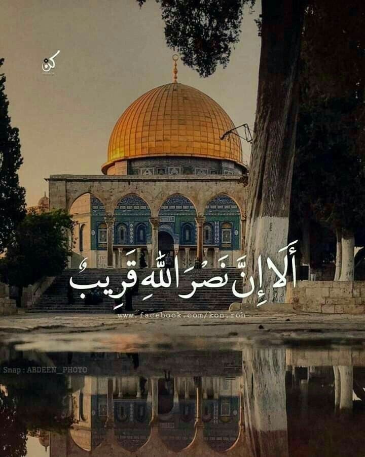 islamicfreedom's tweet photo. “Victory is only from Allah."

The Quran [8:10] https://t.co/FIzNmgLSil