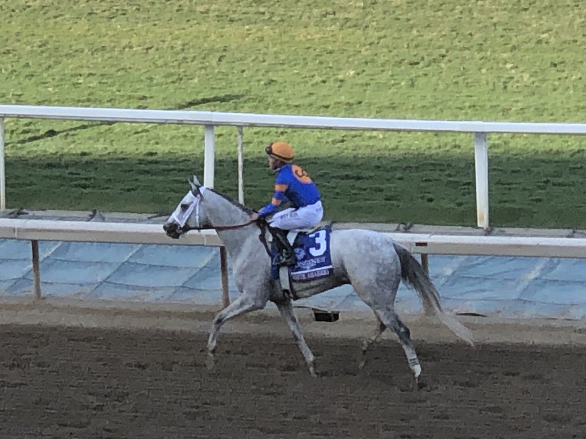 larryzapeye's tweet photo. White Abarrio @BreedersCup @santaanitapark #ClassicWinner https://t.co/le9OEsElwl