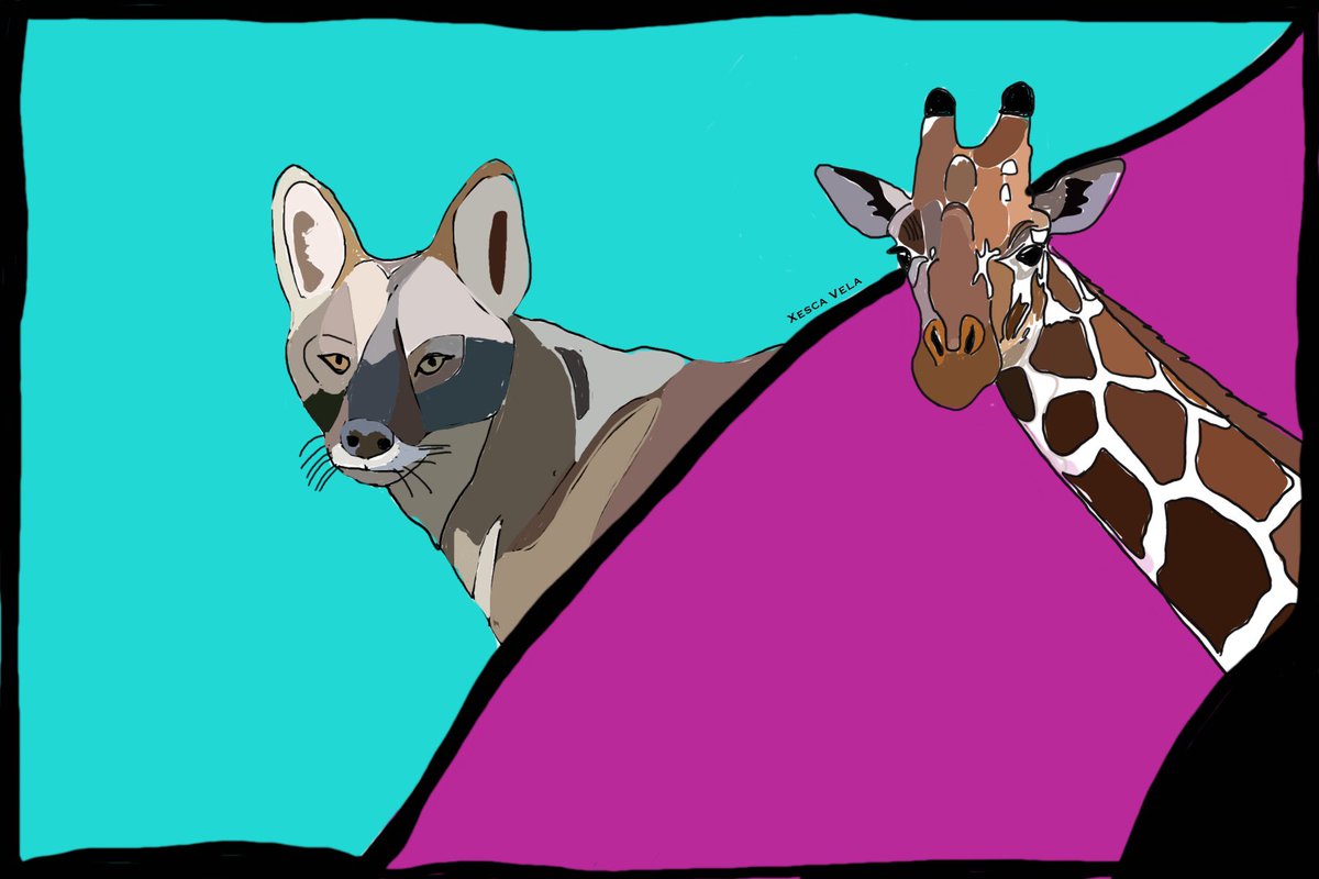 Quin llenguatge predonina a la teva vida, xacal o girafa? El teatre ajuda a identificar els dos rols que planteja la Comunicació No Violenta.