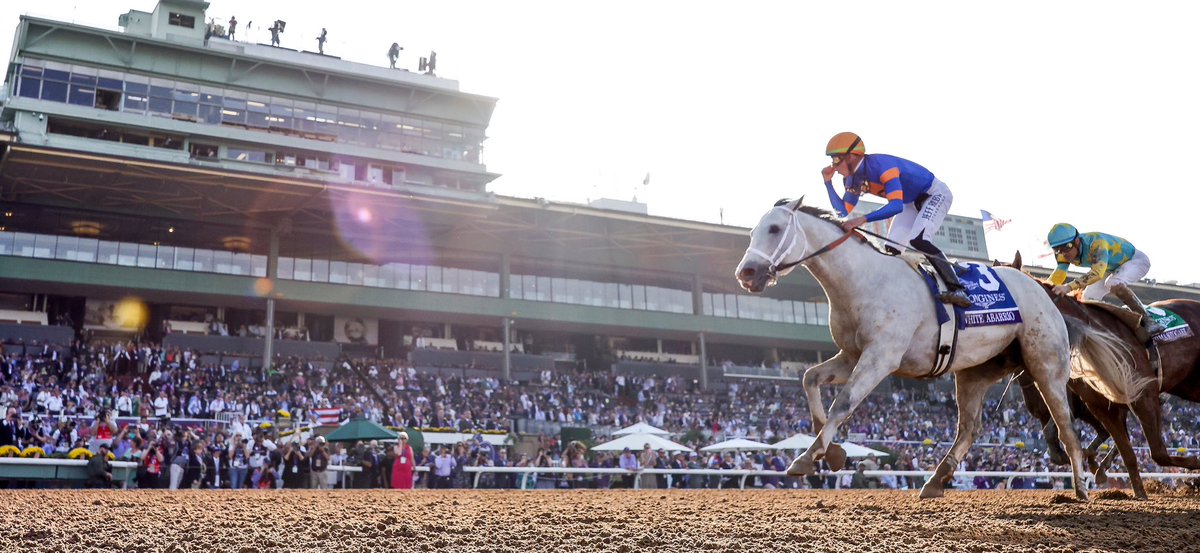 1st_racing's tweet photo. Congratulations to #WhiteAbarrio and @iradortiz for winning the @BreedersCup Classic! #BC23 https://t.co/5mbth0qxXt