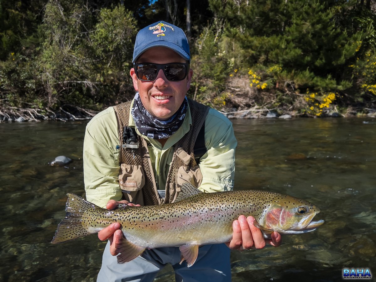 BahaAdventures's tweet photo. New Zealand trout porn! #flyfishingnewzealand #itonlycountsonfly #trout #tongariroriver #flyfishingaddict https://t.co/iVH3jzlYAc
