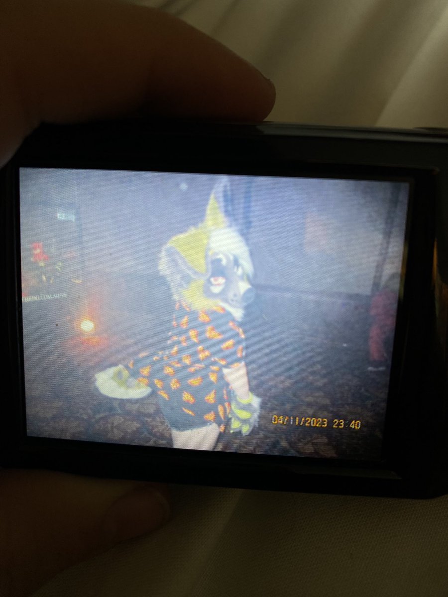 stravaiig's tweet photo. thanks for a rocking tails of terror I love all the cool animals π€π₯ #TailsofTerror2 https://t.co/b9H5EMf0ER
