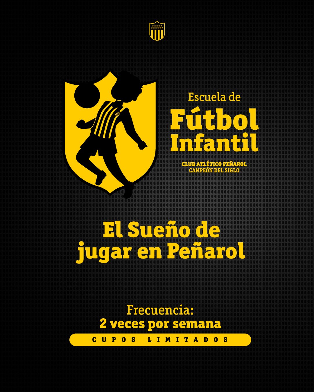 Escuelita de Futbol Infantil