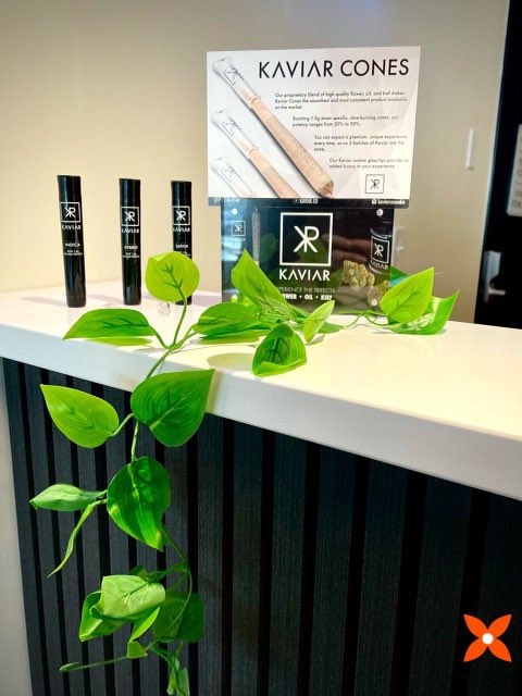 Snap Canna tweet media