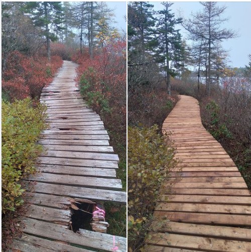 Bluff Trail tweet media