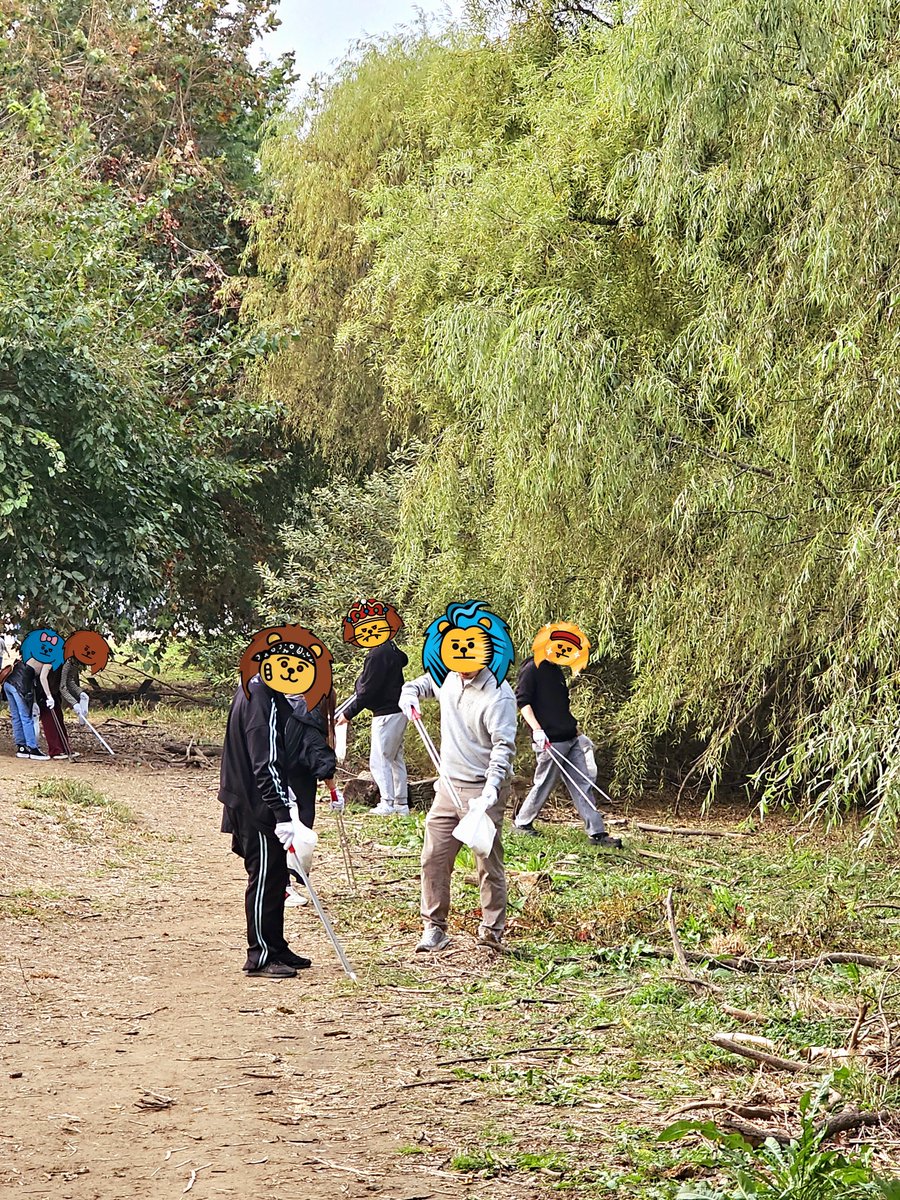 Flowerball(꽃다마) ッ \191\🛠️,⚔️ tweet media