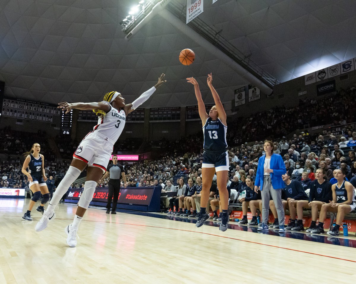 Southern Connecticut State University 🦉 tweet media