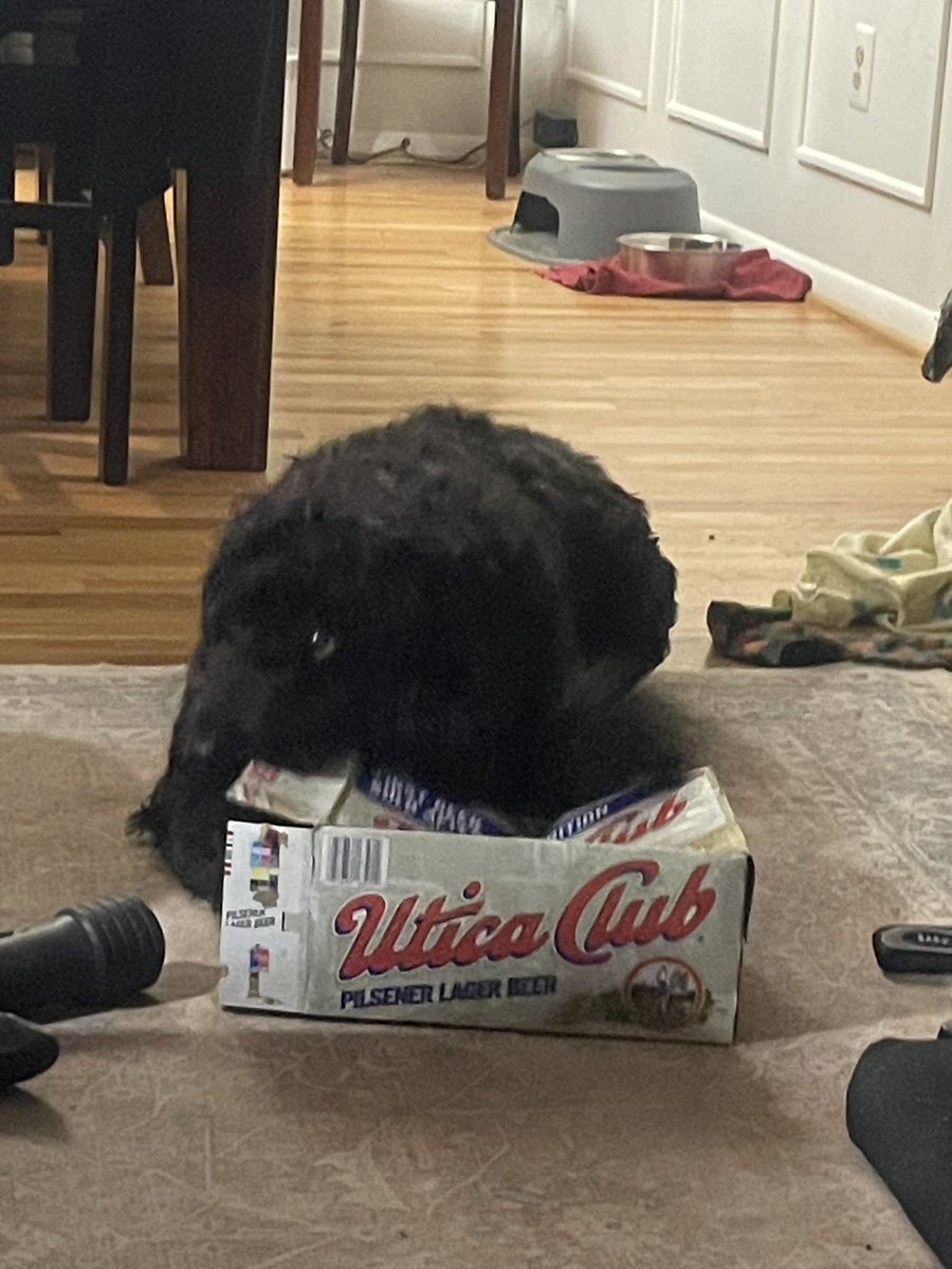 Brad Fiscus tweet media