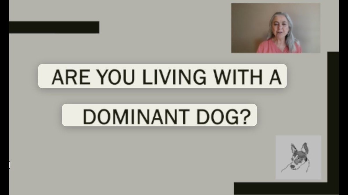 Almuoc's tweet image. Learn why the alpha/dominance theory means bad news for our dogs. Check out my latest Hound Lane video.

buff.ly/45G1rbG

 #dogtrainer #dogs #dogbehaviormodification #dogtrainingtips #dogtrainingmethods