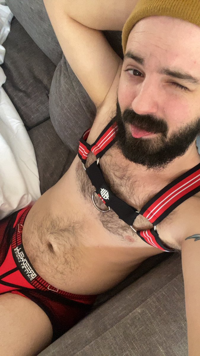 OtterDaddyXXX's tweet photo. Eureka Springs for Diversity Weekend. Gottttta have the gear on around the house. https://t.co/X9qIdrCbIS