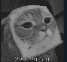 { even though this is all planned, I’m sorry loki