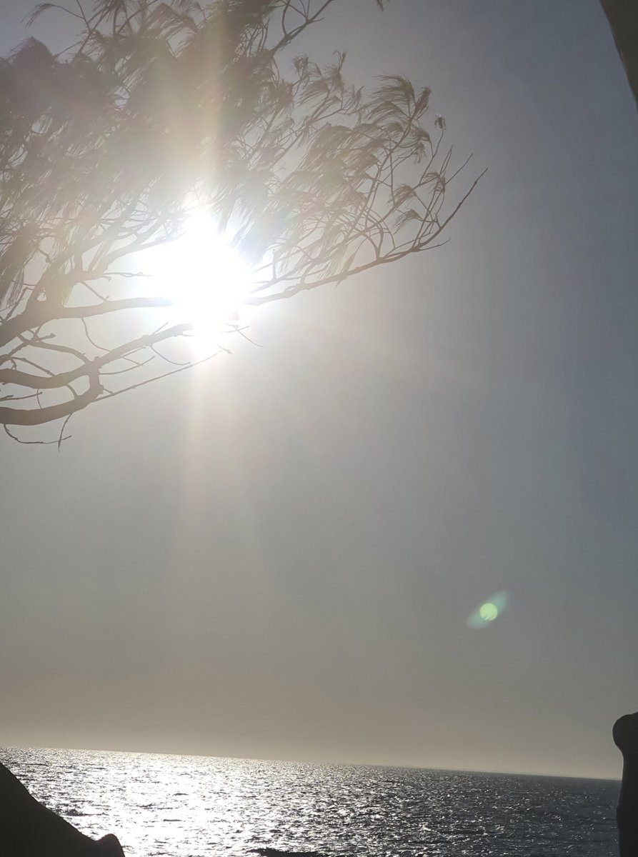 Take a walk. Let the beauty of nature feed your soul. As l was taking this photo, it reminds me of the sun passing light to the tree, like we light each others way giving hope and light. 
Enjoy the rest of your weekend friends. X