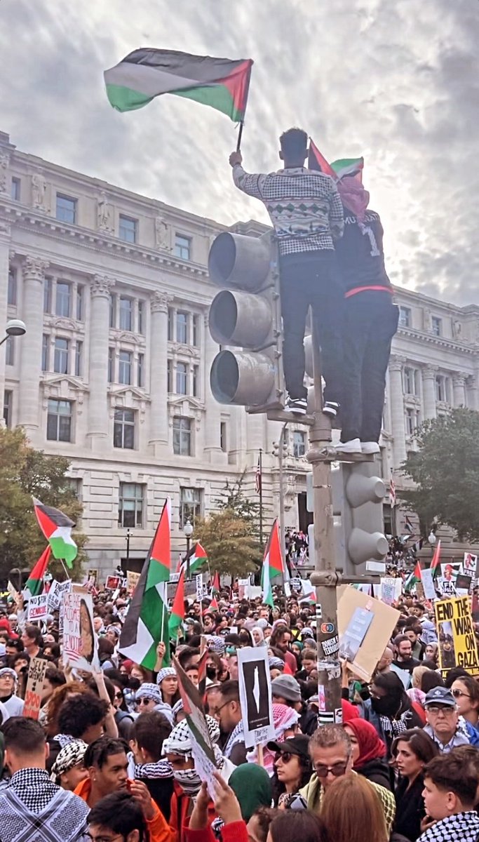 Rhiannon tweet media