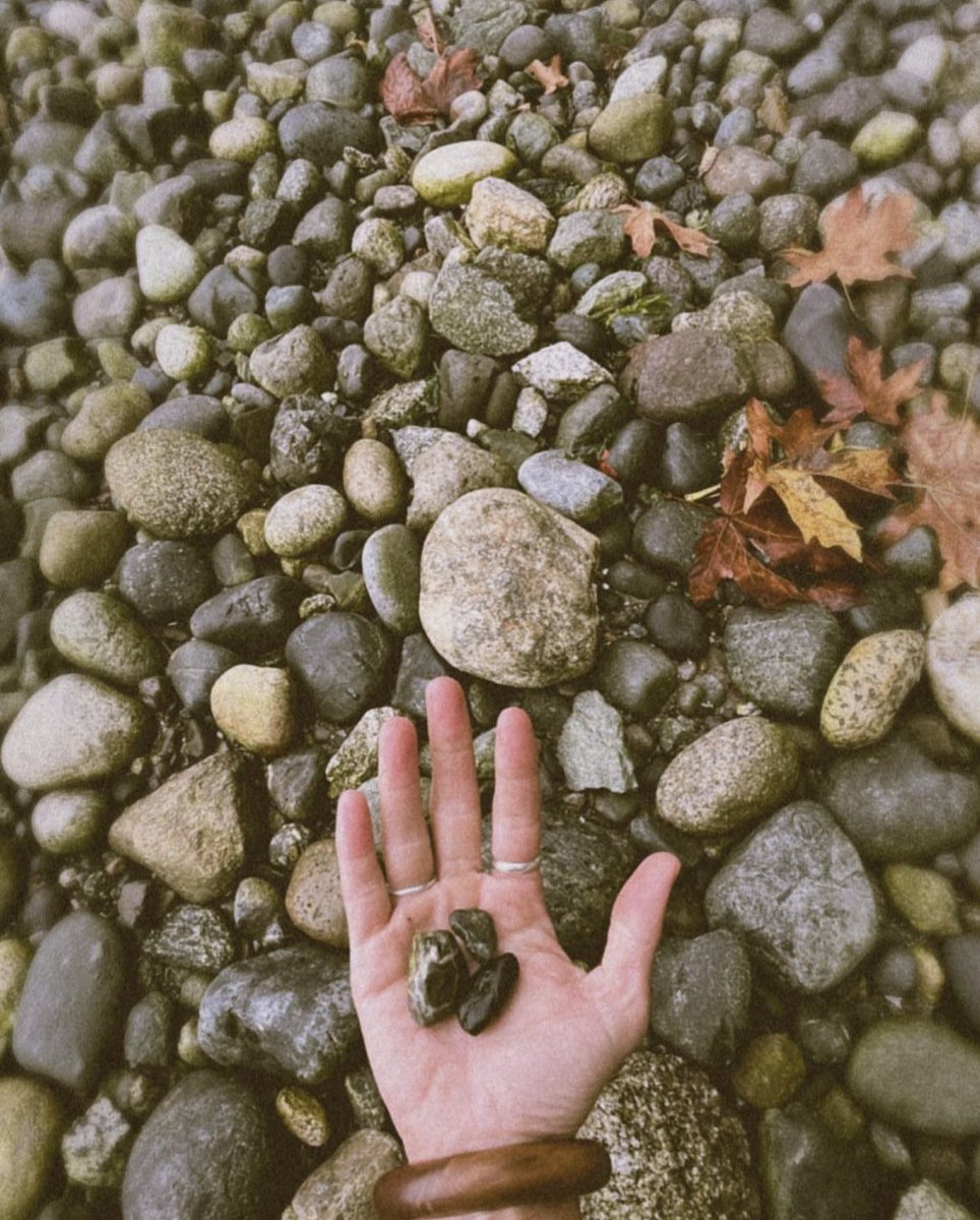 Rising Appalachia tweet media