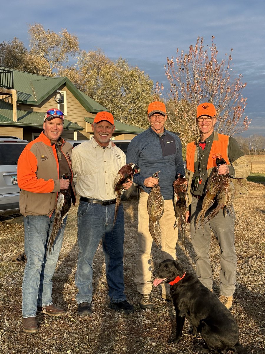 LeaderJohnThune's tweet image. Nothing like a South Dakota pheasant hunt. #sdfall #traditions