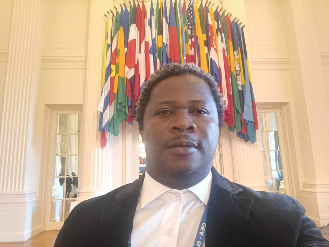 November 2 &amp; 3, OAS Headquarters, USA, Whashington D.C.

Invited by UNESCO, the Organization of American States and the IACHR, to take part, on behalf of NAIRE, in the commemoration of the IDEI (International Day to End Impunity for Crimes against Journalistes).

#EndImpunity