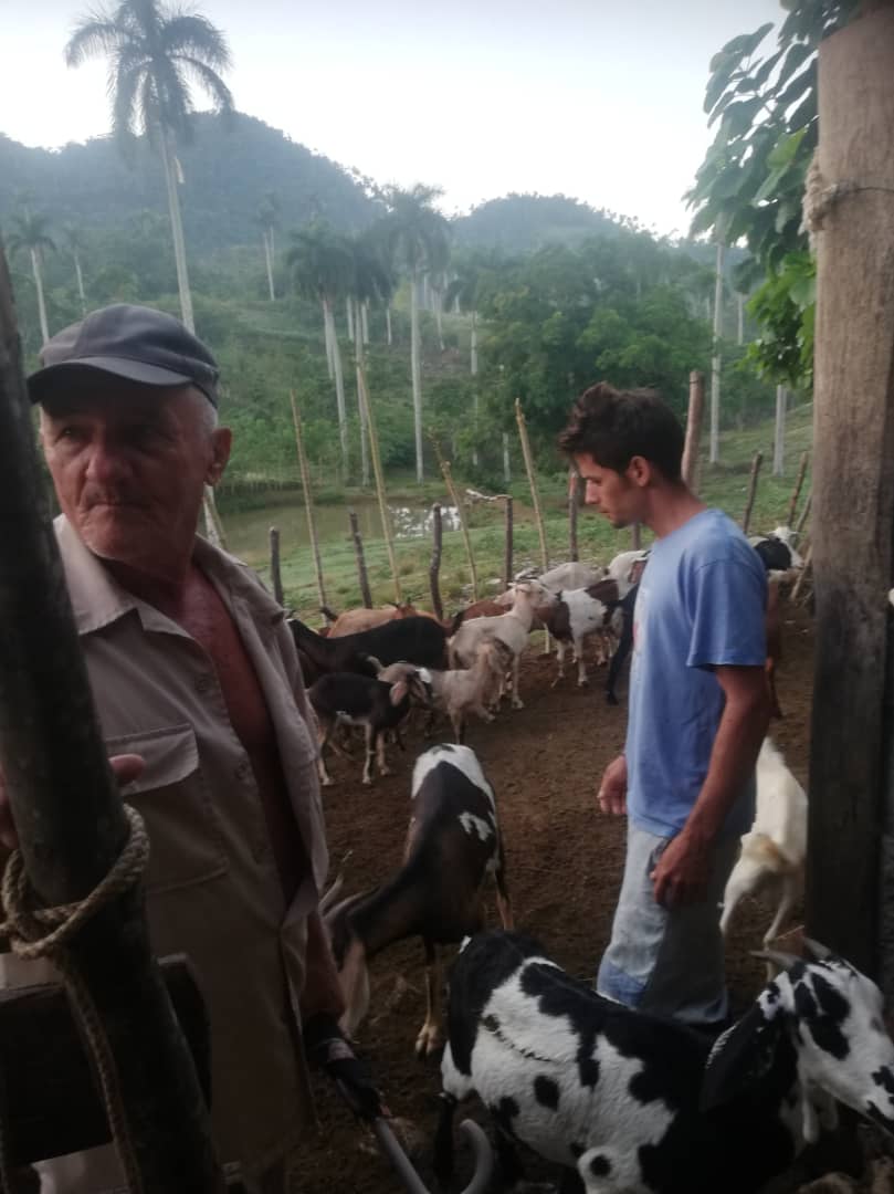 Se fortalece en el Centro Mixto Grito de Baire del municipio de Bahía Honda, Artemisa el módulo pecuario en especies de animales y cultivos.
<a href="/CubaMined/">MINED</a>
<a href="/barreto_nt/">NTBarreto</a> <a href="/MaryCRojas1/">Mary Carmen Rojas Torres</a> <a href="/yarobyalvarez/">Director Provincial Educación Artemisa</a> <a href="/GladysArtemisa/">Gladys Martínez Verdecia</a> <a href="/RicardoArtemisa/">Ricardo Concepción Rodríguez</a>
