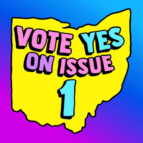 mommamia1217's tweet photo. Thank you, Chris!

We need your help!!
Please spread the word and contact your family and friends in Ohio to urge them to vote #YesOnOne because healthcare choices should be made between patients and doctors not politicians.

If this issue fails, there is no exception for rape, incest, or fetal abnormality…It doesn’t matter if you’re in the middle of a raging addiction or cancer treatment.

Noone should ever be forced to birth their rapist’s baby. 

#OhioVoteYesOnOne