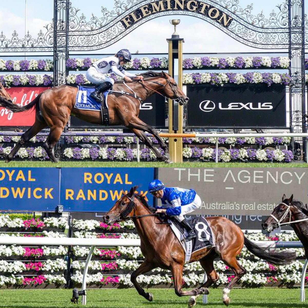 TheMickoSmith's tweet image. OZZMOSIS joins COMMUNIST as @Chinahorseclub’s 2nd #CHCbred Group🥇winner in 🇦🇺 in the last 12 months.

Come #ChaseTheDream and find your next 🌟in our @mmsnippets draft w/The Chase this January