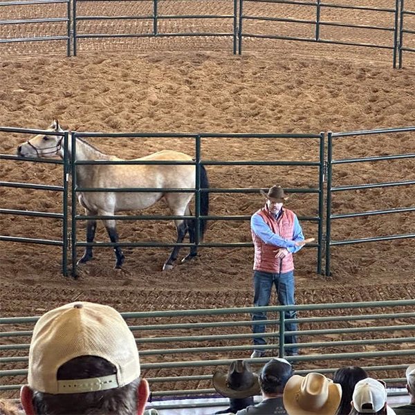 DownunderHorse's tweet photo. Day 1 of the Conroe, TX, Walkabout Tour presented by @RitchieWaterers was full of horsemanship instruction, inspiration and fun!
https://t.co/npnXktRUAL
#ApplyTheMethod #WalkaboutTour https://t.co/Gv4kx6OWLd