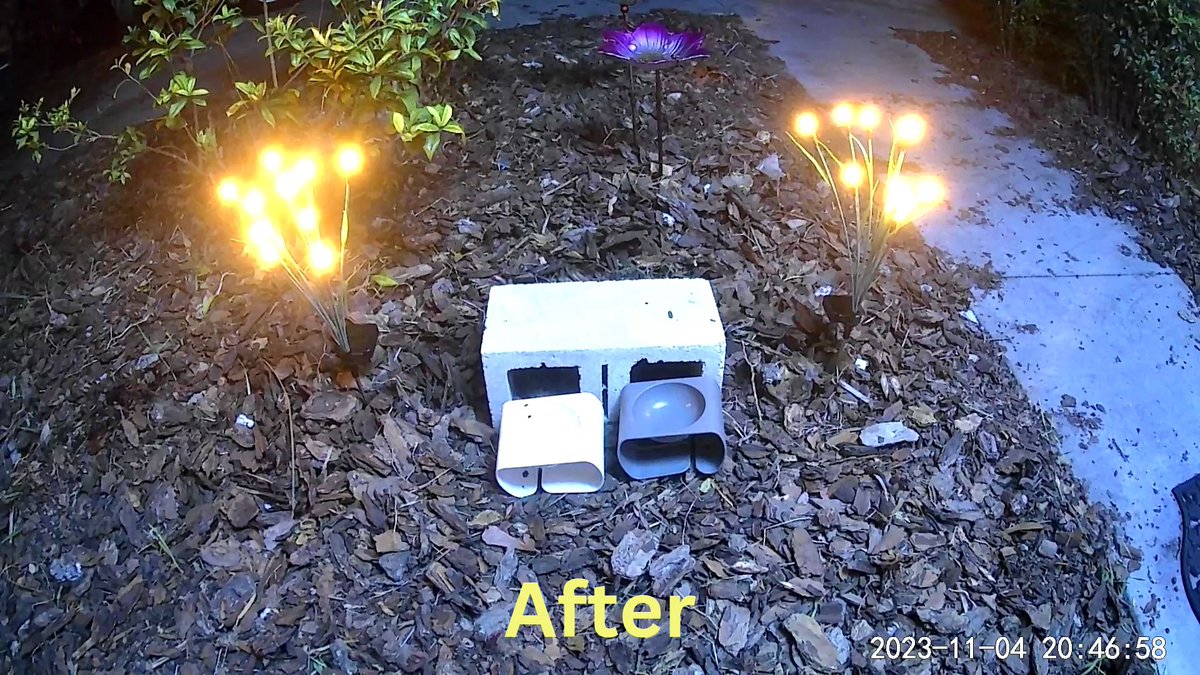 Still a work in progress. So you can't see it all yet, but I added a bird feeder, a bird bath and some lights. Trying to dress up our feeding area. #feedingstrays #feralcats #cats #catsofx #catsofinstagram