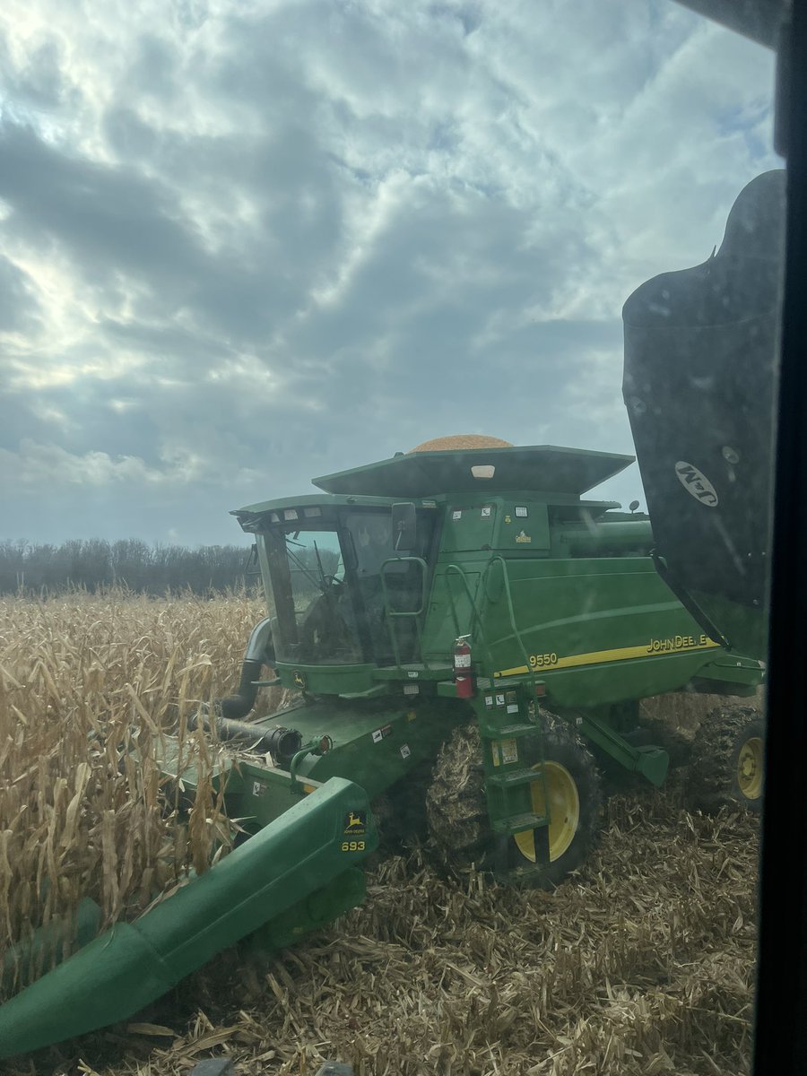 Graham Johnston tweet media