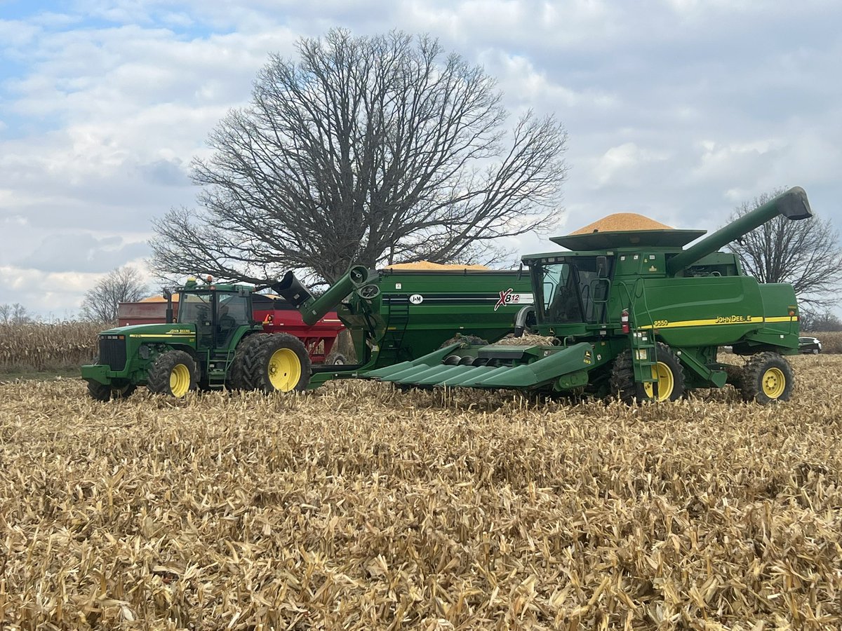 Graham Johnston tweet media