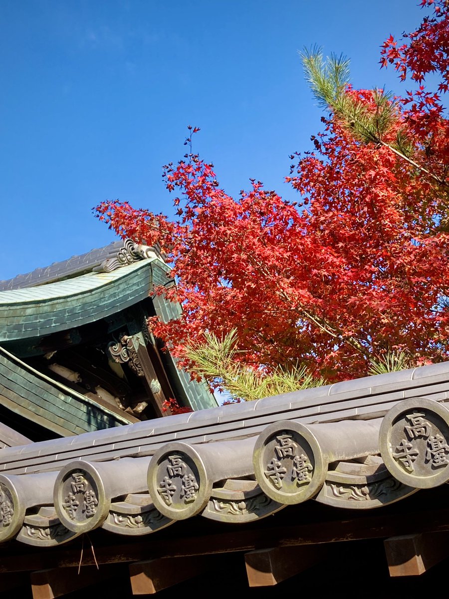 今日11/5の #京 の #高台寺
#臥竜池 に映り込む #開山堂 と #紅葉 #青空

#京都 
#鏡池