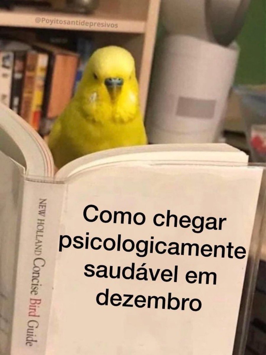 Alguém me conta