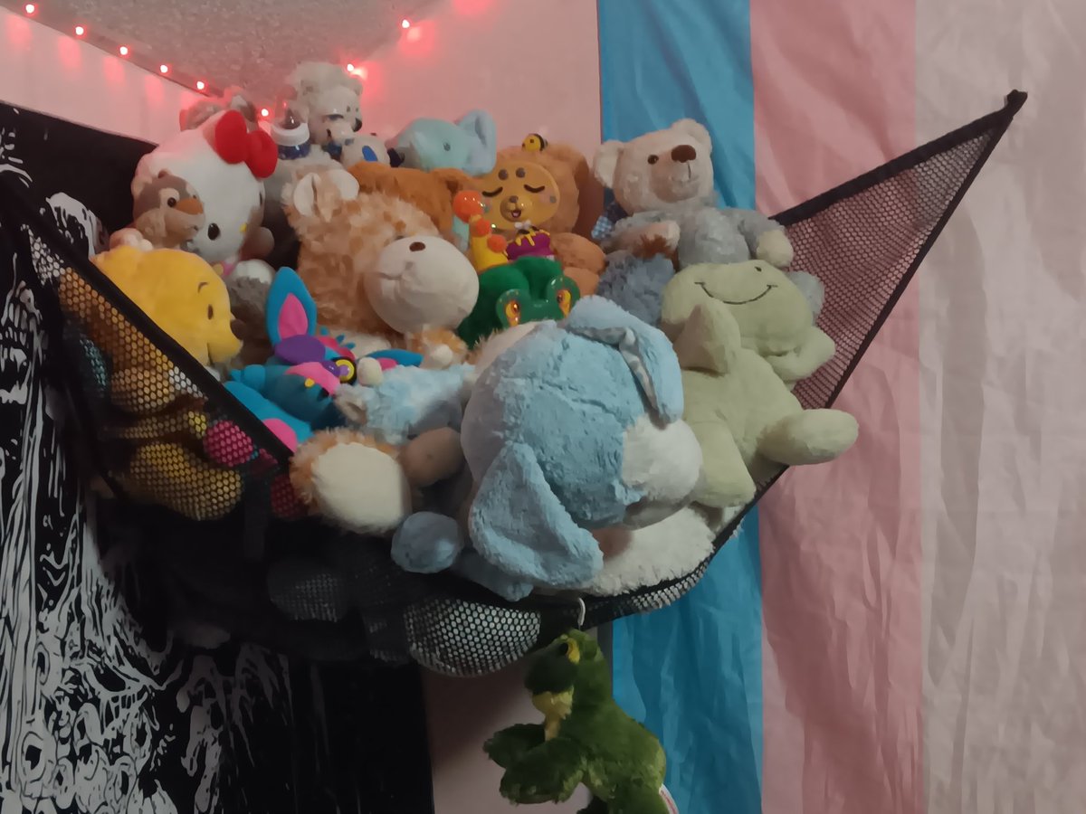 plnetpupy's tweet photo. maybe ill post a stuffie tour since i have them all named https://t.co/ZXJxbieccM
