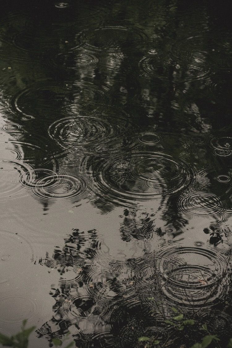 go to pinterest and search:
“celebrity”
“outfit”
“quote”
“aesthetic”
quote with the FIRST pic that appears, that is your vibe