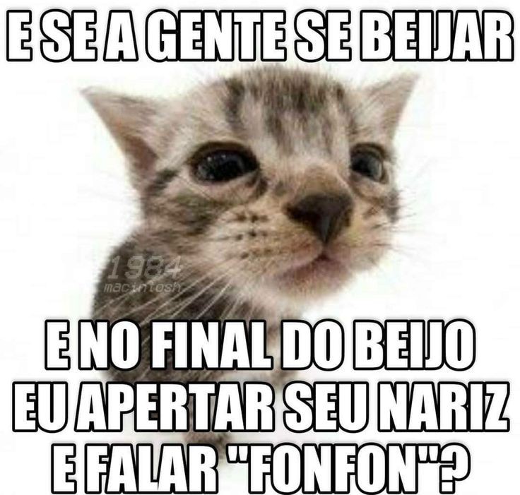 Memes para marcar ele(a) (@memeparaoarroba) on Twitter photo 
