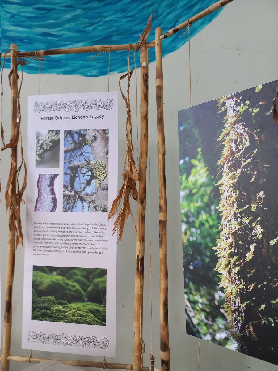 ClimateResearch's tweet photo. #Sunday is a #fundday, and so we look forward to having a lot of fun on Day 4  at the #forestsoflife festival at @azimpremjiuniv in #Bangalore. Join us to be part of the fun today to celebrate #forests https://t.co/p7tJiRGxRc