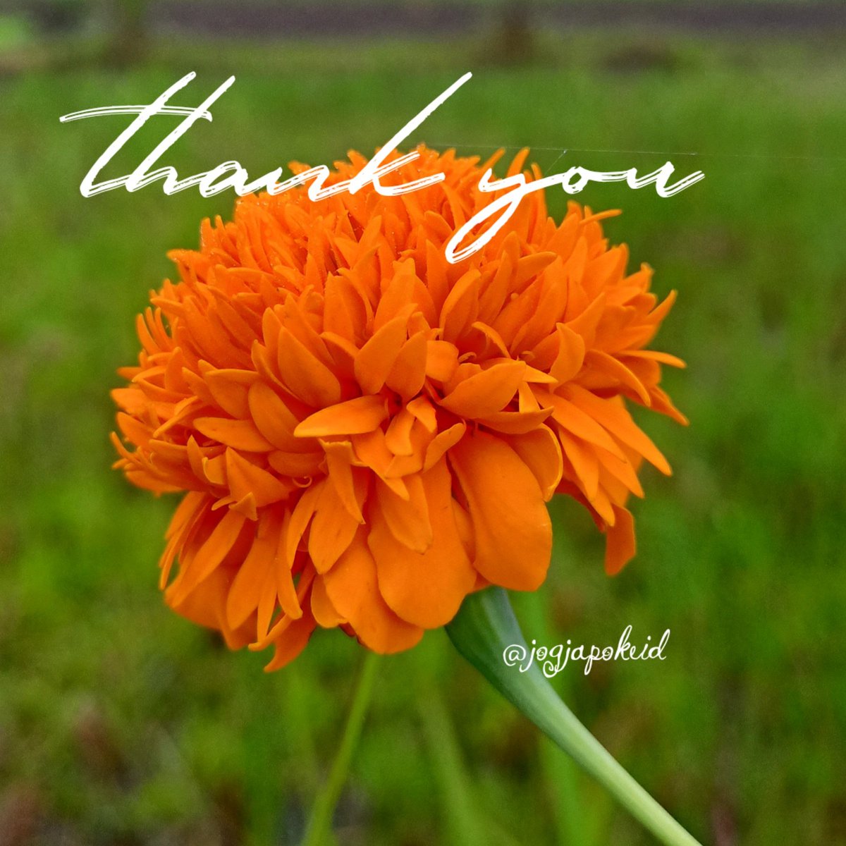 #F4F_Nusantara
#TwFsClub

thank you so much
⏩➽ 🇧🇷🇧🇷🇧🇷
<a href="/M_Angela_55/">Angela</a>

<a href="/TwFsClub/">Founder of ☀️ #TwFsClub</a>
<a href="/jogjapokeid/">jogjapokeid</a>
<a href="/AudySania/">sania audy</a>
<a href="/auliailna1/">aulia ilna</a>
<a href="/auk1239/">AK khan</a>
<a href="/aveeyra/">veeyra</a>
<a href="/aw_u700/">أبــــــــــو عـــــــــــبــدالرحـــــــــــمـن</a>
<a href="/kethus513/">Eddie🙏</a>
<a href="/Christi80876461/">🇮🇩 PAK UBAN KEYEN 🇮🇩</a>
<a href="/OmarOmafranco/">Omar Franco</a>
<a href="/AliceUnidoSTeam/">Alice🇨🇵TeamUnidoS</a>
<a href="/AurelSitum24310/">Aurel Situmorang</a>
<a href="/AwotundeOlamide/">Olamide Oluwatobi Lammy</a>
@AwlineNatalie
<a href="/voor21/">Voor</a>
<a href="/AwieMaja/">AWie AdMaja</a>
<a href="/Awips6/">Awips</a>