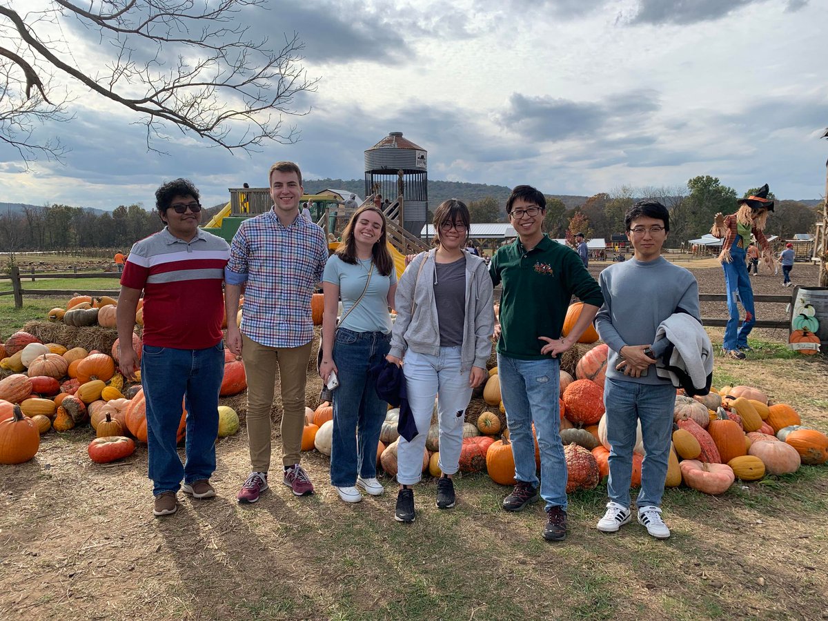 Bin Dong tweet media