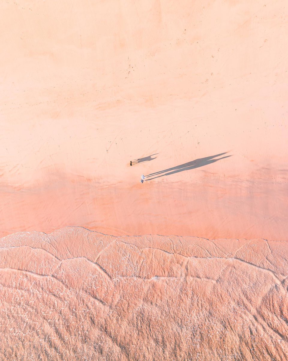 Best friends enjoying the beach 🐶🐶

📍 Barwon Heads, <a href="/GeelongBella/">Visit Geelong Bellarine</a>, on Wadawurrung country
📸 via IG/mitchell_harris