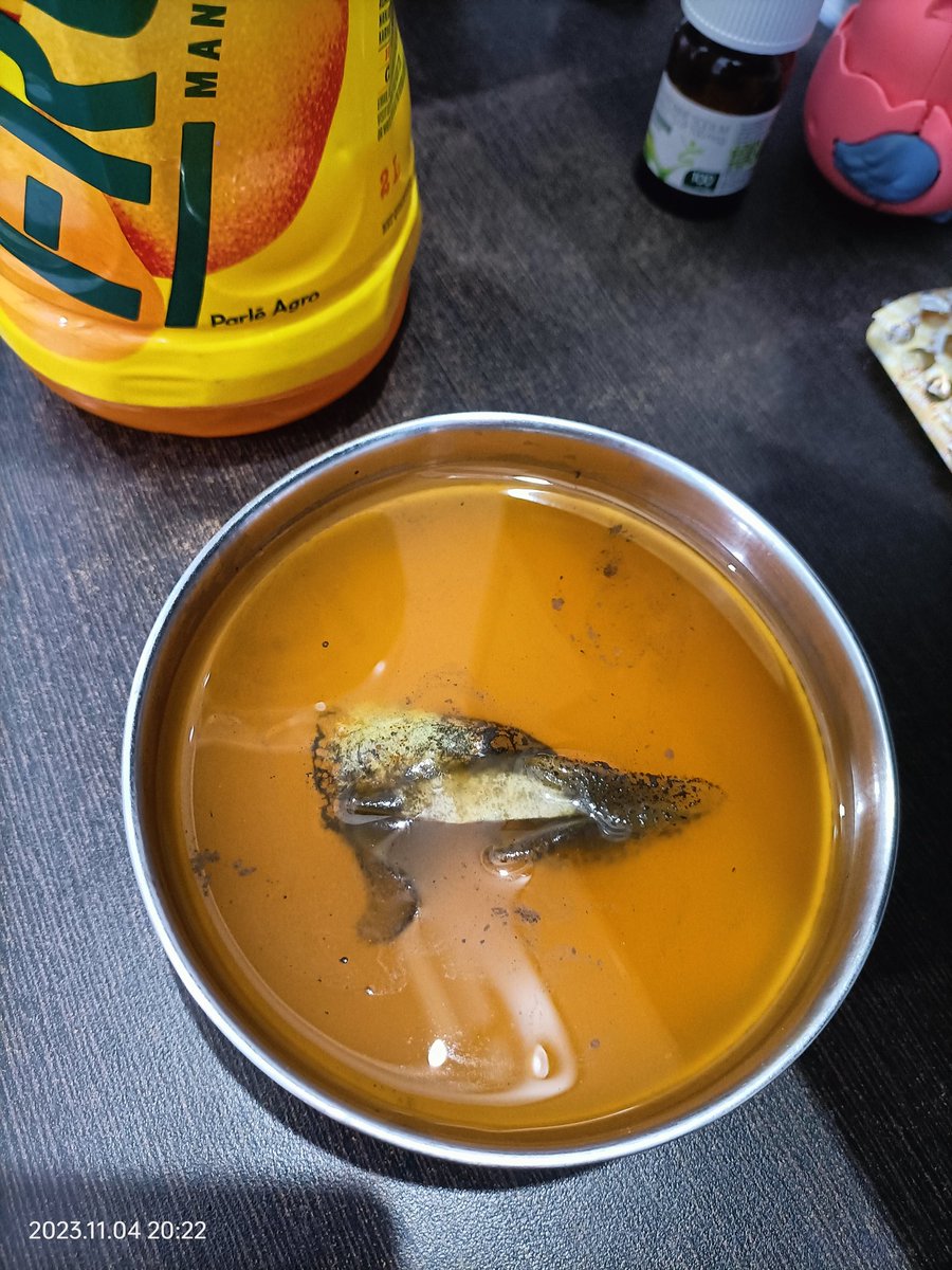 Ermannugahlot's tweet photo. @Parle_Agro Say no to mango drinks by Frooti any more 

Don't get free solid waste inside 2 litre frooti https://t.co/kUY7hnSkYV