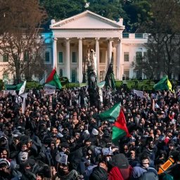 LP_Alaska's tweet photo. @bennyjohnson HERE IS AN INSURRECTION https://t.co/O0v8uaBl6z