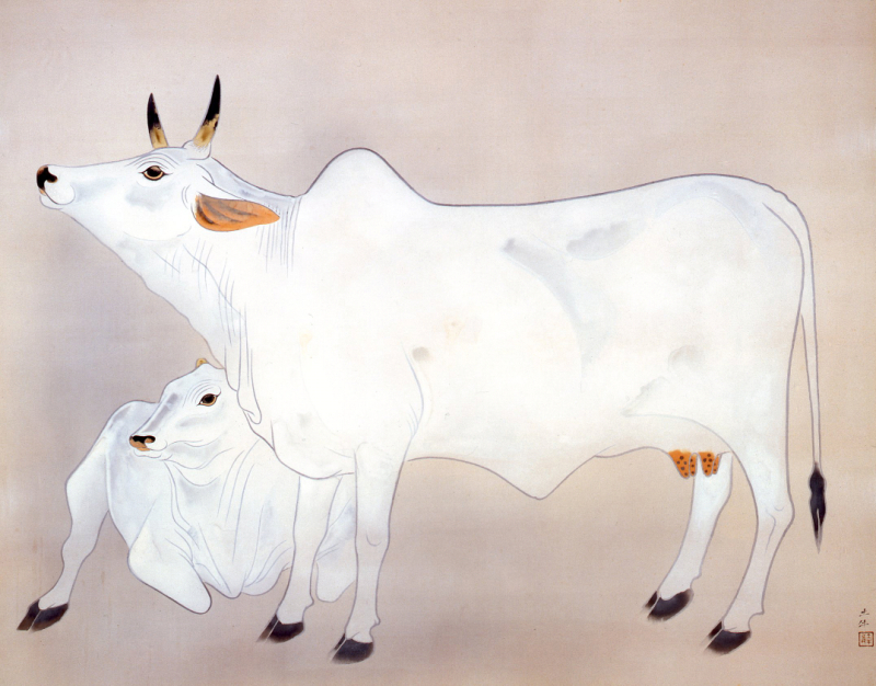 展示中！／ #奥村土牛 《聖牛》( #山種美術館) 2頭の白い牛🐮さて本