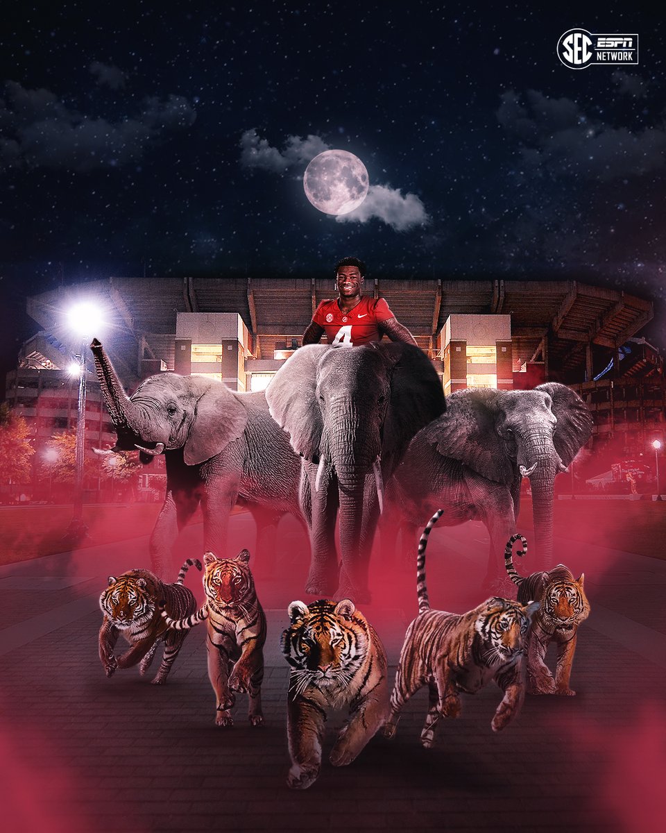 ROLL TIDE ROLL‼️

<a href="/AlabamaFTBL/">Alabama Football</a> takes down No. 14 LSU 🐘