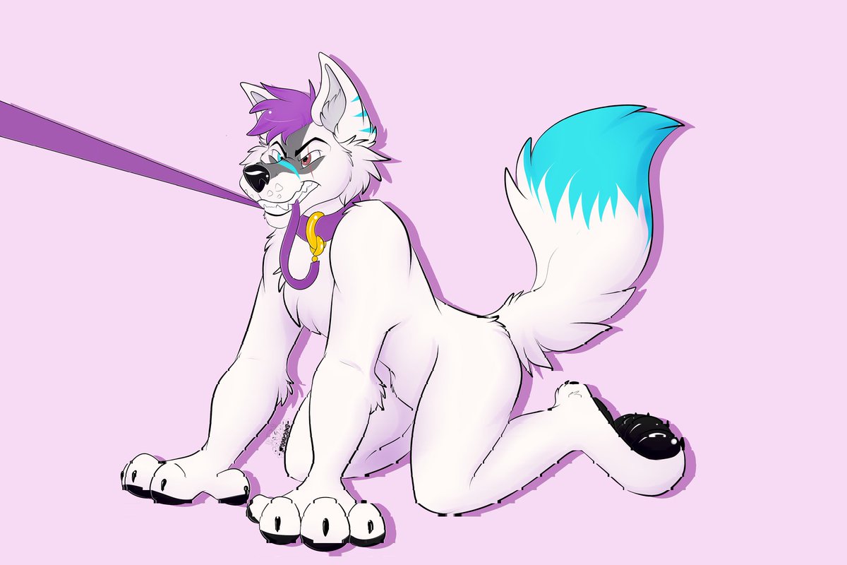 Skratch Sunskit tweet media