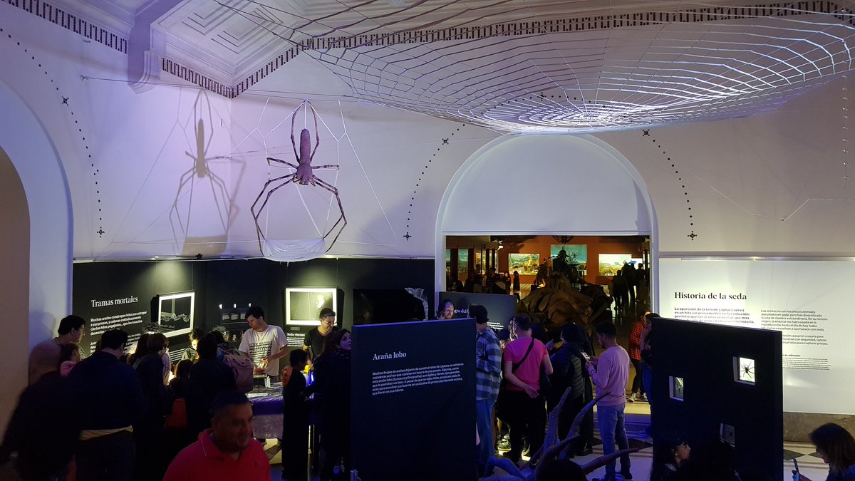 A spider Halloween special al MACN!
