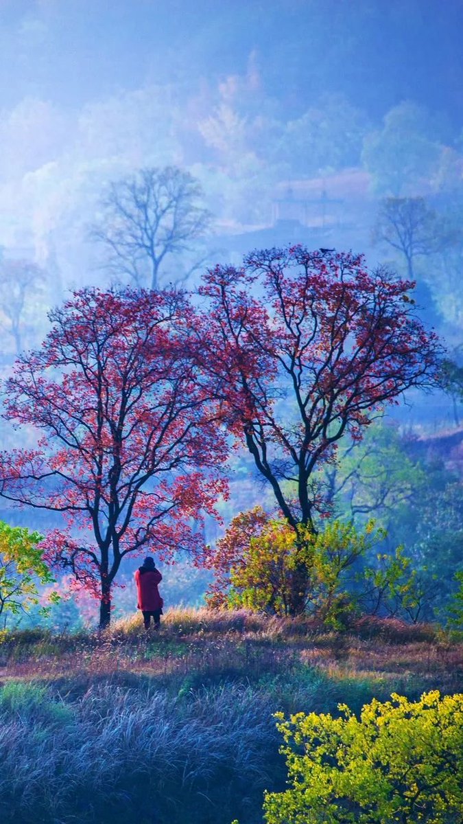 Beautifully intoxicating.🌿🌸
# Nature
#Goodmorning